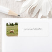 Rücksendeadresse Etikett mit Grizzlybär & Bären (Insitu)