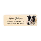 Rücksendeadresse für Border Collie (Vorne)