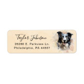 Rücksendeadresse für Border Collie (Vorne)