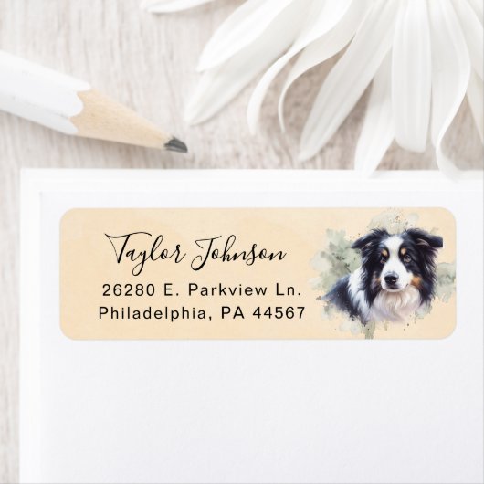 Rücksendeadresse für Border Collie (Insitu)