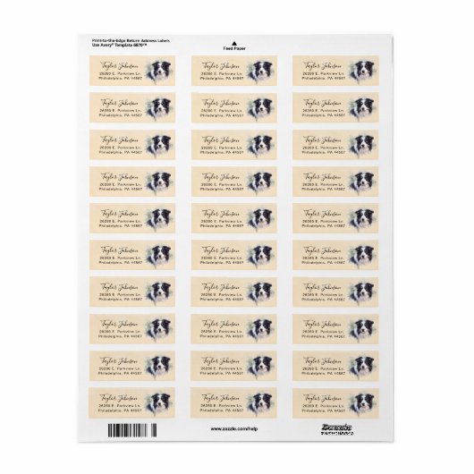 Rücksendeadresse für Border Collie (Vorne)