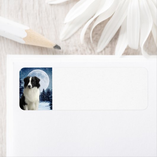 Rücksendeadresse für Border Collie (Insitu)