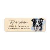 Rücksendeadresse für Border Collie (Vorne)