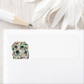 Rücksendeadresse für Border Collie Mix (Insitu)