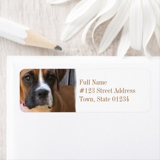 Rücksendeadresse für Boxer-Rescue (Insitu)