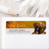 Rücksendeadresse für Boxer-Welpe (Insitu)