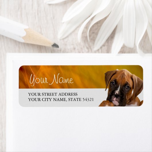 Rücksendeadresse für Boxer-Welpe (Insitu)