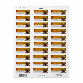 Rücksendeadresse für Boxer-Welpe (Vorne)