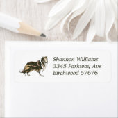 Rücksendeadresse für Collie (Insitu)