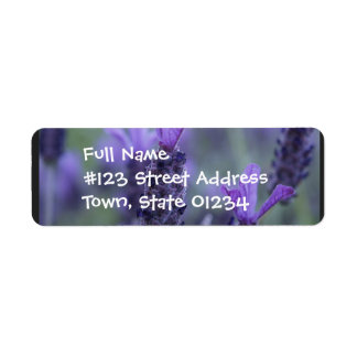 Rücksendeadresse für das Foto Blume im Lavendel