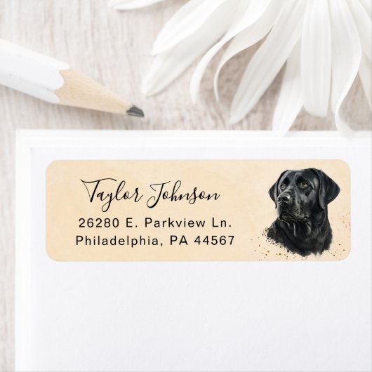 Rücksendeadresse für das Schwarze Labor (Insitu)