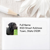 Rücksendeadresse für das Schwarze Labor (Insitu)