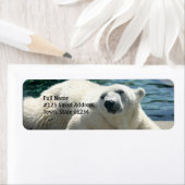 Rücksendeadresse für den arktischen Polar (Insitu)