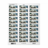 Rücksendeadresse für den arktischen Polar (Vorne)