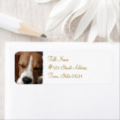 Rücksendeadresse für den Beagle, die gespeichert w (Insitu)