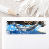 Rücksendeadresse für Dolphin Tricks (Insitu)