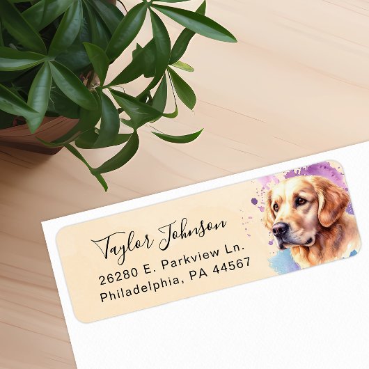 Rücksendeadresse für Golden Retriever