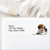 Rücksendeadresse für Hunde aus schwarzbraunem Beag (Insitu)