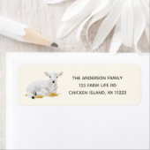 Rücksendeadresse für Lammbeulen (Insitu)