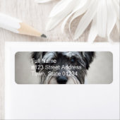 Rücksendeadresse für Miniatur-Schnauzer (Insitu)