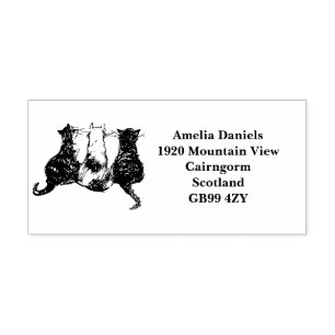 Rücksendeadresse für niedliche Katzen Permastempel