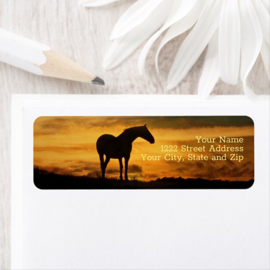 Rücksendeadresse für Pferde Südwestwind (Insitu)