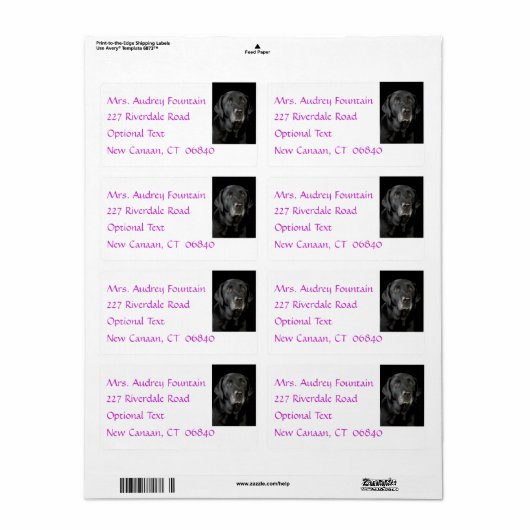 Rücksendeadresse für Schwarze Labrador Retriever (Vorne)