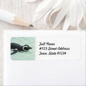 Rücksendeadresse für Schwimmpinguine (Insitu)