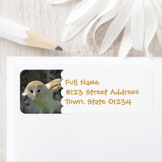 Rücksendeadresse für Stall Owl (Insitu)