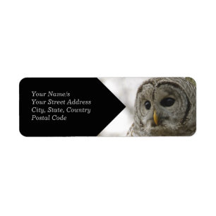 Rücksendeadresse für wild gehackte Owl Face