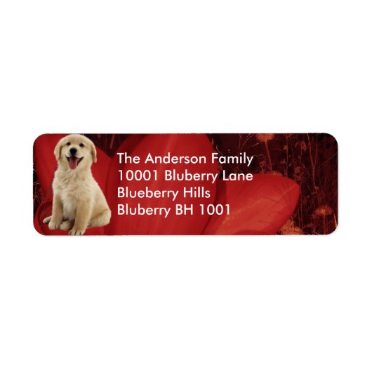 Rücksendeadresse Golden Retriever und Blume (Vorne)