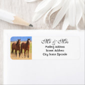 Rücksendeadresse Horse (Insitu)