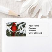 Rücksendeadresse Kardinal Roter Vogel (Insitu)