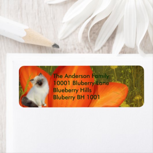 Rücksendeadresse Katze und Blume (Insitu)