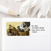 Rücksendeadresse Lables (Insitu)