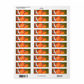 Rücksendeadresse Maltesisch und Blume (Vorne)