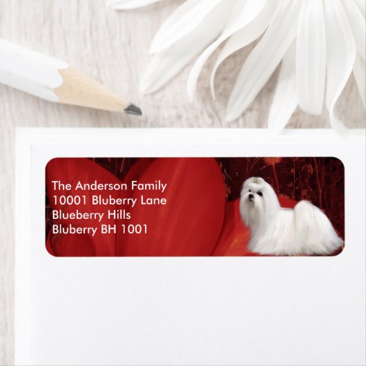 Rücksendeadresse Maltesisch und Blume (Insitu)