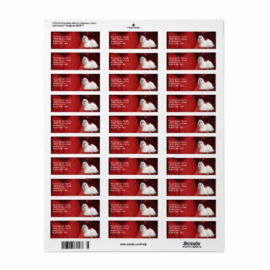 Rücksendeadresse Maltesisch und Blume (Vorne)