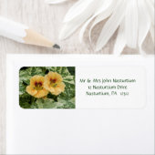Rücksendeadresse Nasturtium (Insitu)