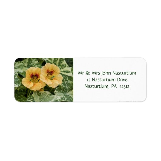 Rücksendeadresse Nasturtium (Vorne)