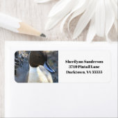 Rücksendeadresse Nördlicher Nadelbaum (Insitu)