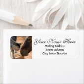 Rücksendeadresse Pferd und Kitten (Insitu)