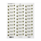 Rücksendeadresse Pinecone (Vorne)