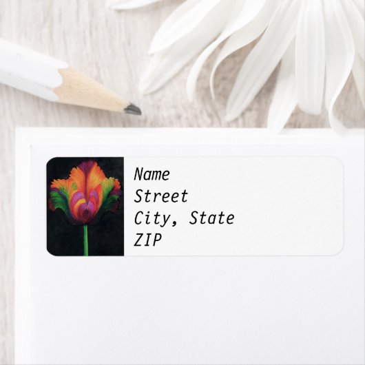 Rücksendeadresse - Rainbow Parrot Tulip (Insitu)