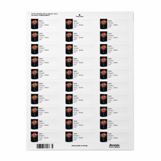 Rücksendeadresse - Rainbow Parrot Tulip (Vorne)