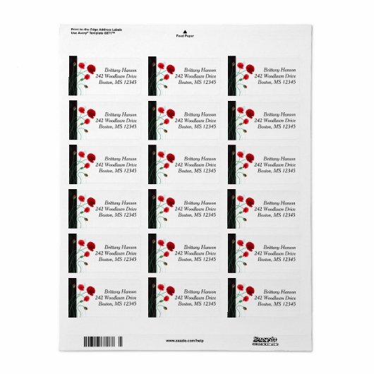 Rücksendeadresse | Rote Pflaumen | Schwarz, Grün Adressaufkleber (Vorne)