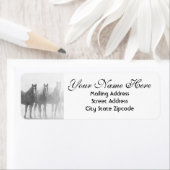 Rücksendeadresse verblichener Pferde (Insitu)