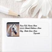 Rücksendeadresse Weißes Arabian (Insitu)