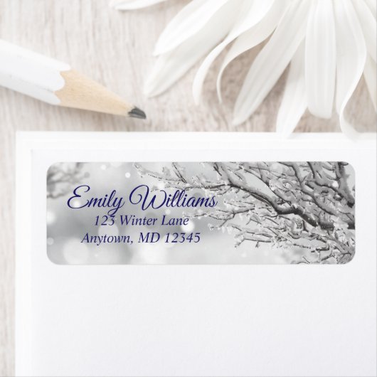 Rücksendeadresse zum Schnee und Eiswintern (Insitu)