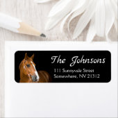 Rücksendeadressen-Aufkleber (Insitu)